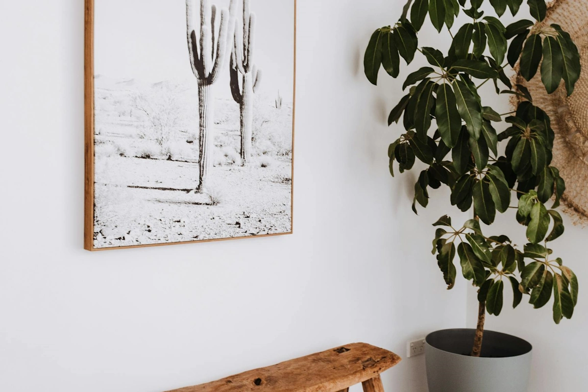 Servicios de pintura decorativa en Vinaròs